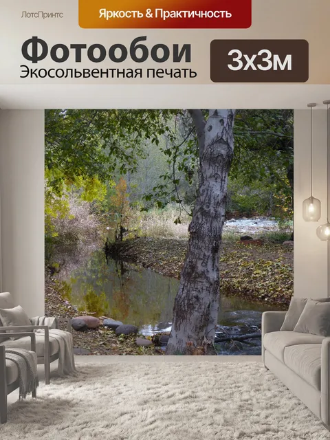 Фотообои Прогулка вдоль ручья
