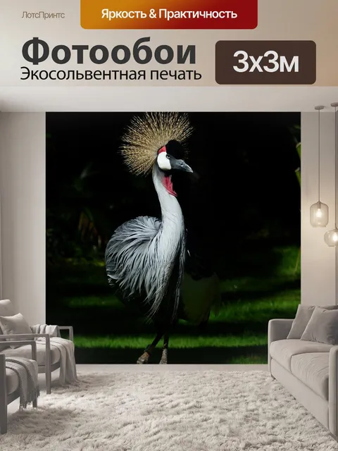 Фотообои Венценосный журавль