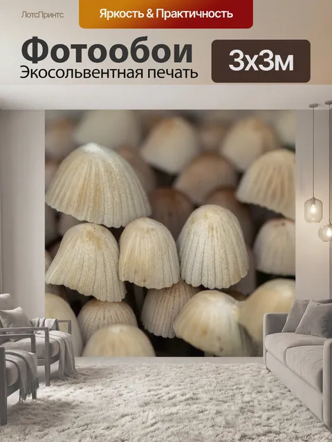 Фотообои Грибы