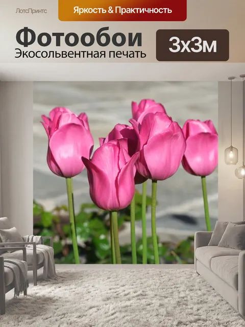 Фотообои Тюльпаны
