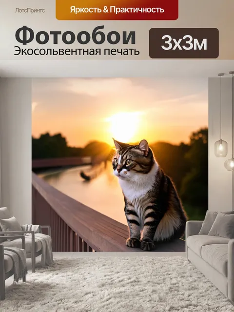 Фотообои кошки, любующиеся закатом на мосту