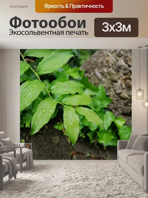 Фотообои Листья