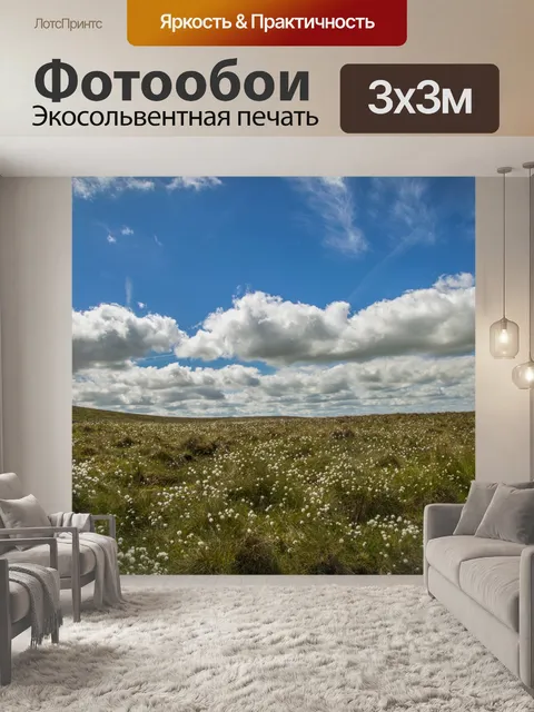 Фотообои Цветы хлопковой травы