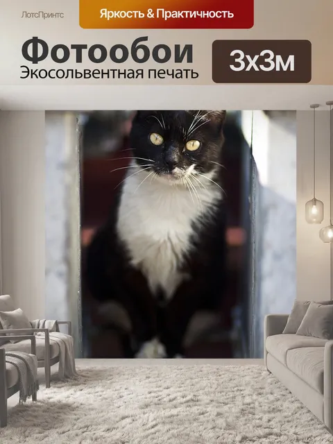 Фотообои Кошка