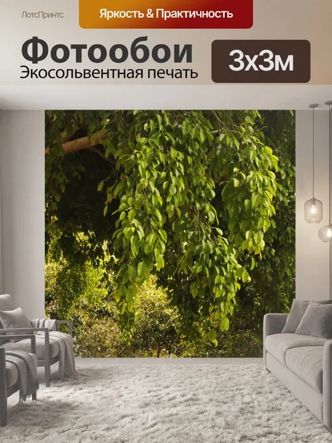 Фотообои зеленая листва на дереве