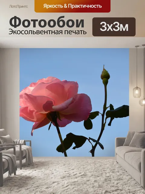 Фотообои Цветы