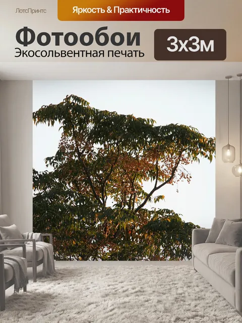 Фотообои Сирень ягоды на дереве