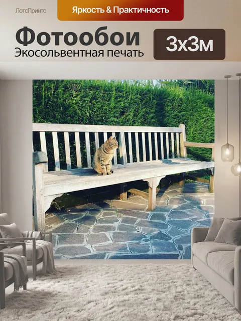 Фотообои Кошка