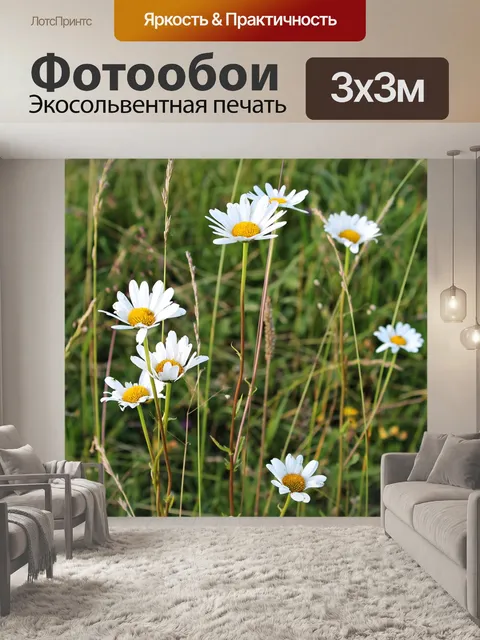 Фотообои Цветы
