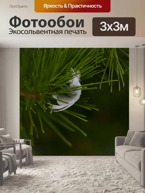 Фотообои Птичье перо в сосне