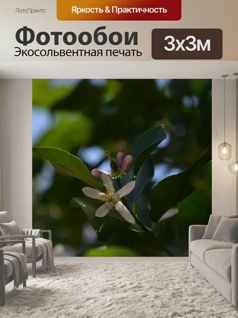 Фотообои Дерево