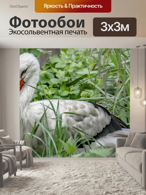 Фотообои Аист