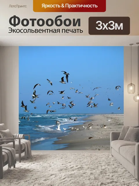 Фотообои Чайки
