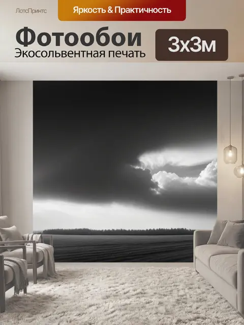 Фотообои пейзаж с небом фото чернобелый