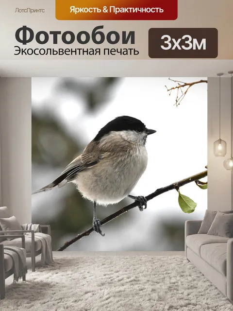Фотообои Птица