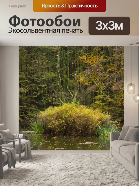 Фотообои Осенний лес