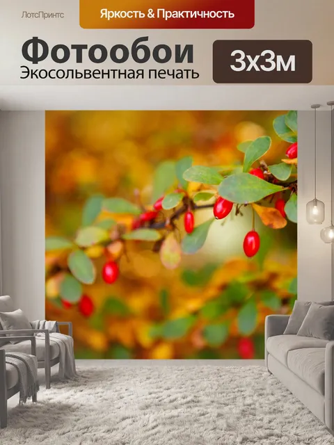 Фотообои Ягоды барбариса