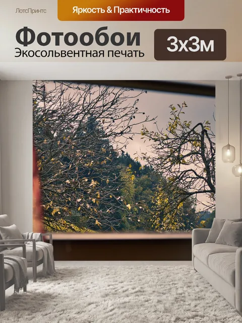 Фотообои Окно