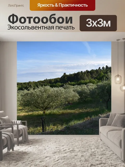 Фотообои Оливковый