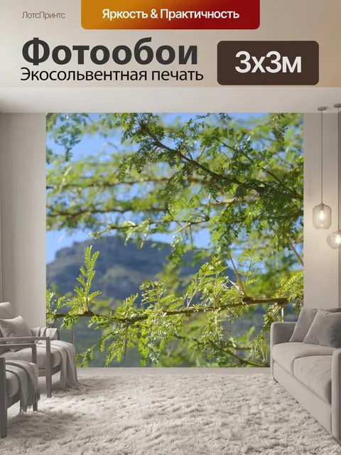 Фотообои Папоротник