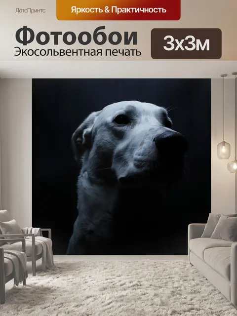 Фотообои Собака