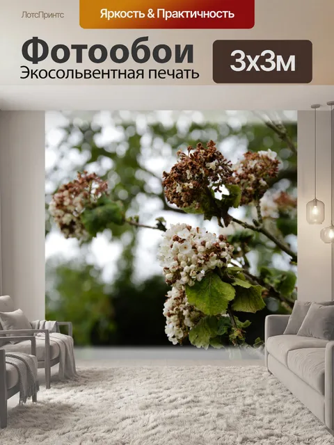 Фотообои Голландские цветы в саду