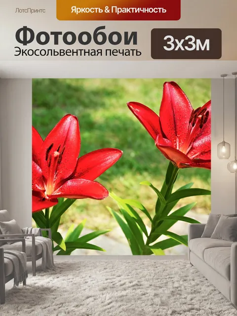 Фотообои Цветы