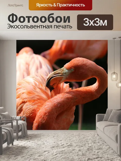 Фотообои Фламинго