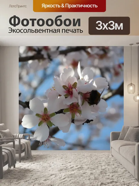 Фотообои Цвет
