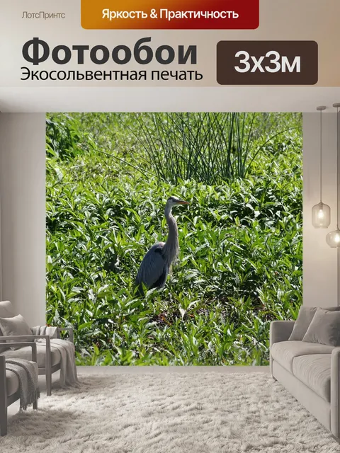 Фотообои Птица
