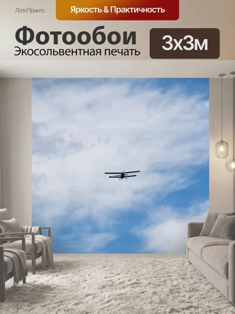 Фотообои Самолет