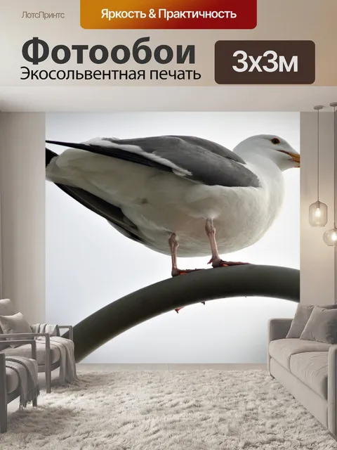 Фотообои Чайка на лампе