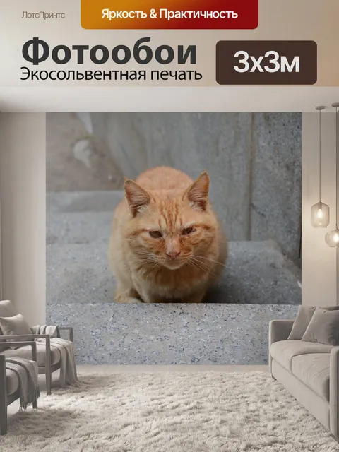 Фотообои Кошка