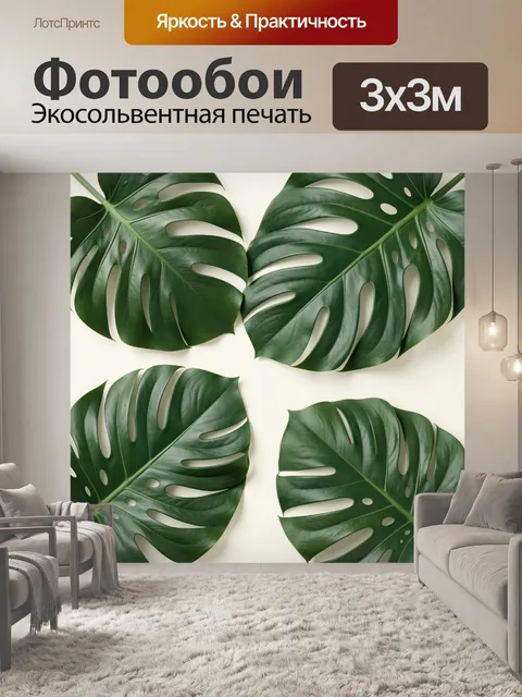 Фотообои Листья монстеры на светлом фоне