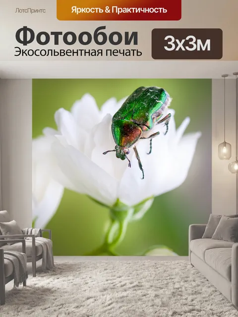 Фотообои Бронзовки