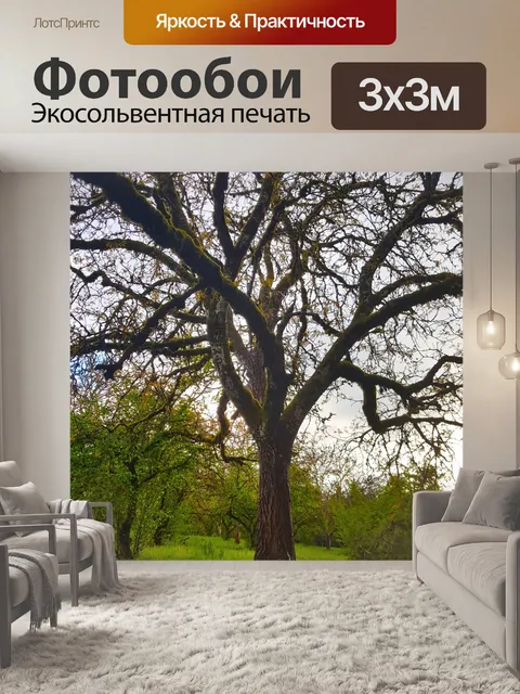 Фотообои Дерево