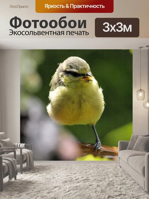 Фотообои Птица