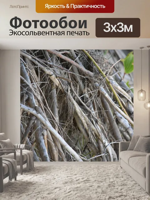 Фотообои Корни деревьев