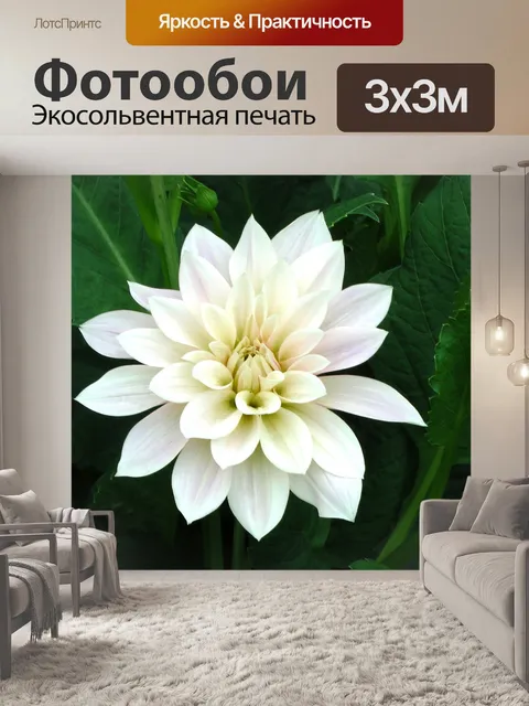 Фотообои Белый сад Цветочный