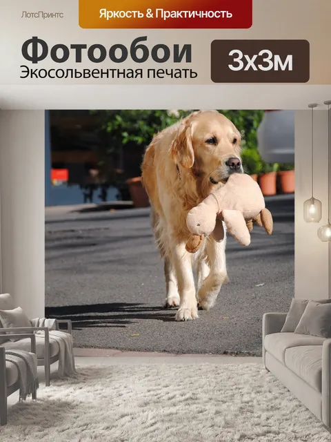 Фотообои Собака