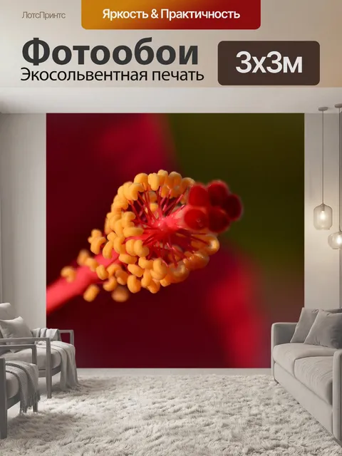 Фотообои Цветы