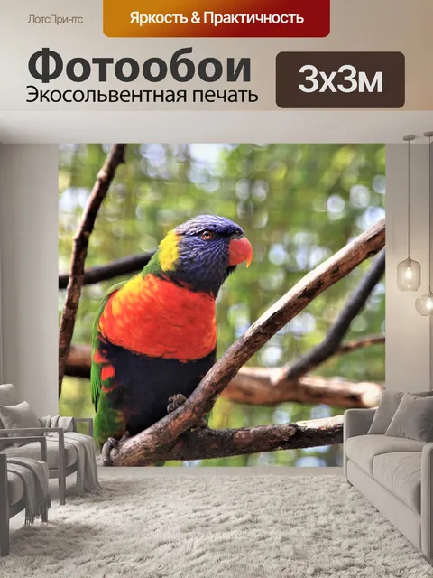 Фотообои Птица