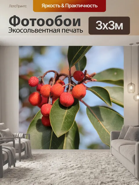 Фотообои Дикие фрукты