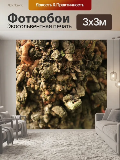 Фотообои Природа