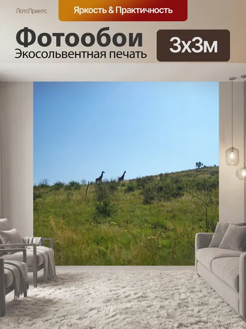 Фотообои вдалеке видны два жирафа