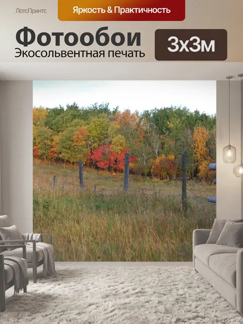 Фотообои Осенние листья