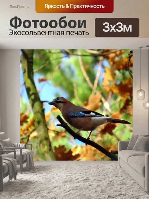 Фотообои Птица