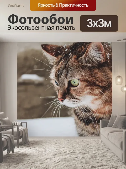 Фотообои Кошка
