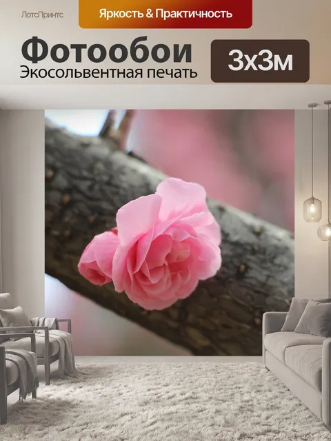 Фотообои Цветок
