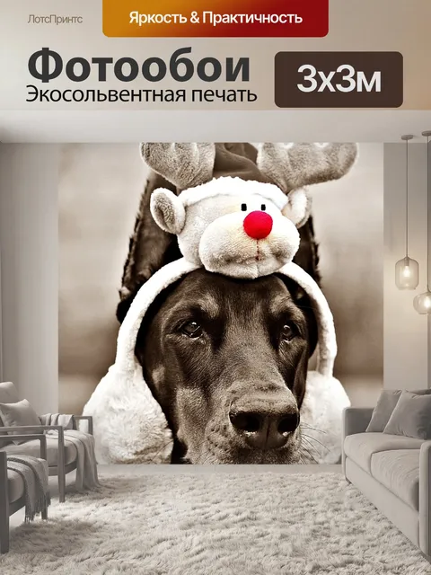 Фотообои Луна